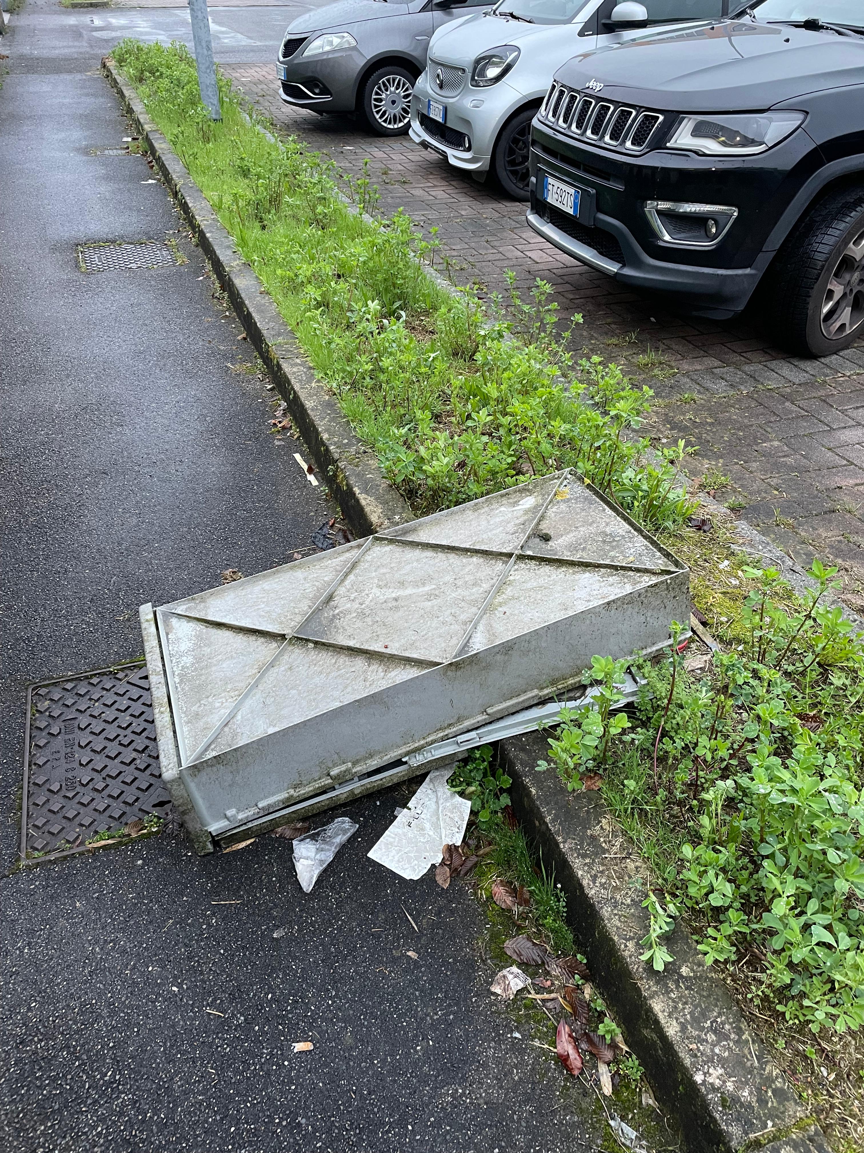 Immagine della segnalazione